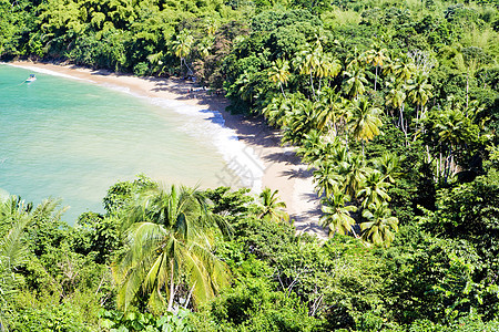 多巴哥英格曼湾旅行海滩世界植被海湾树木位置假期热带图片