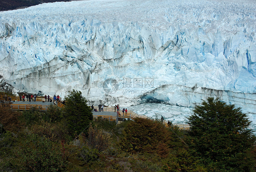 阿根廷佩里托莫雷诺冰川爬坡顶峰森林地质学木头冰山风景荒野旅游旅行图片