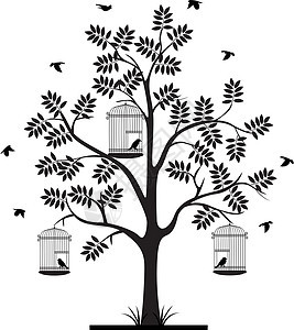 鸟儿在笼子里飞鸟和鸟儿的树背影图片
