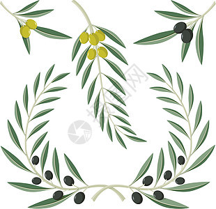 橄榄树枝食物荣耀成功运动胜利元素设计插图叶子设计元素高清图片素材