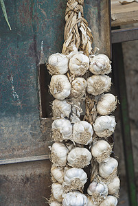 大蒜大蒜茶点洋葱文化厨房草本植物辫子蔬菜食物香料摄影图片