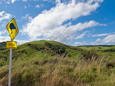 Kiwi交叉路标和NZ风景图片