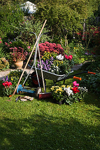轮车 草机 花园设备种植园丁独轮车阴影后院打扫杂草花朵工作院子图片