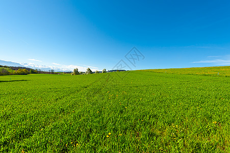 国家办事处国家旅行农村种子爬坡场地蓝色地面天空植物图片