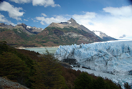 阿根廷佩里托莫雷诺冰川旅游风景荒野地质学森林木头冰山爬坡顶峰旅行图片