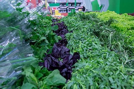 柜台市场上的新鲜绿菜和生菜倾斜大葱薄荷绿色东西收成店铺农场团体香菜图片