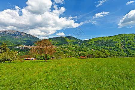 城市风景花园阳光植物农场栽培高山房子农家岩石爬坡图片