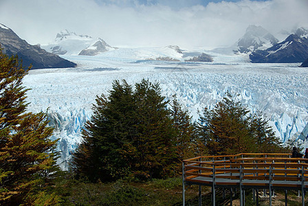 阿根廷佩里托莫雷诺冰川森林旅游木头旅行顶峰地质学荒野冰山风景爬坡图片