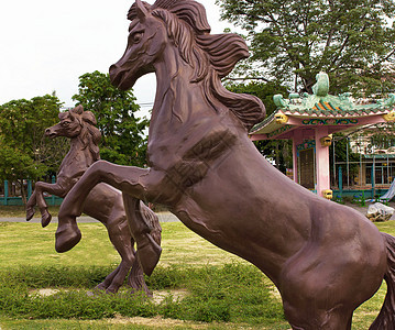 在公园中被孤立的马雕像雕刻金属古董白色动物青铜图片