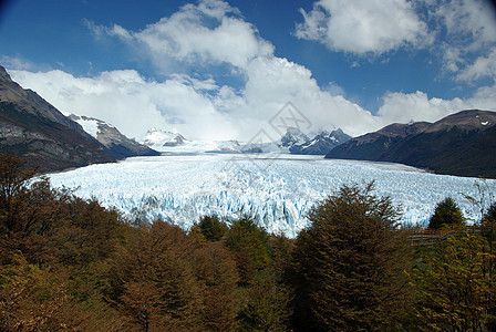 阿根廷佩里托莫雷诺冰川风景地质学顶峰爬坡森林旅行冰山旅游木头荒野图片