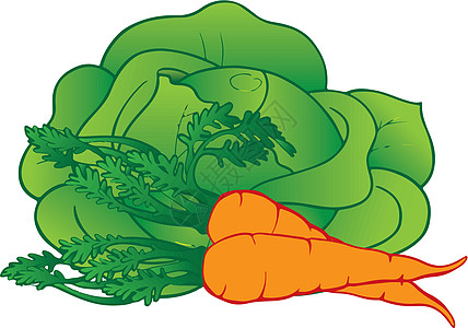 新鲜蔬菜橙子居住萝卜食物生活绿色图片