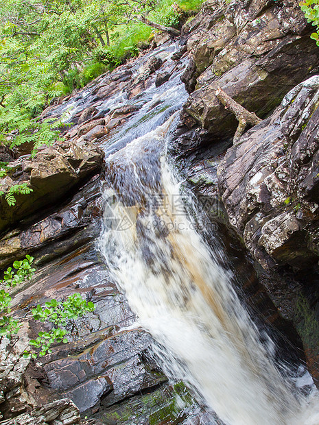 山上瀑布的风景森林公园生活苔藓石头墙纸冥想岩石木头叶子图片