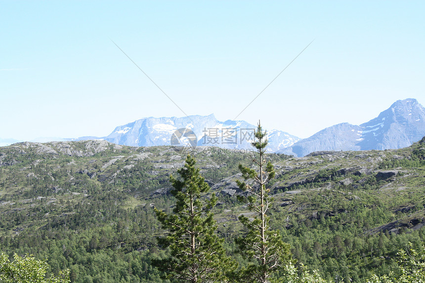 狂野国家雪山远足树木森林松树图片