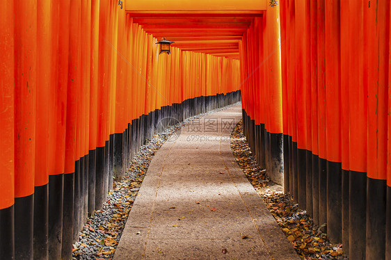 日本京都的神庙旅游宗教蓝色遗产地标佛教徒神道游客神社观光图片