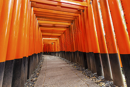 日本京都的神庙旅行橙子观光精神历史天空蓝色建筑文化地标图片