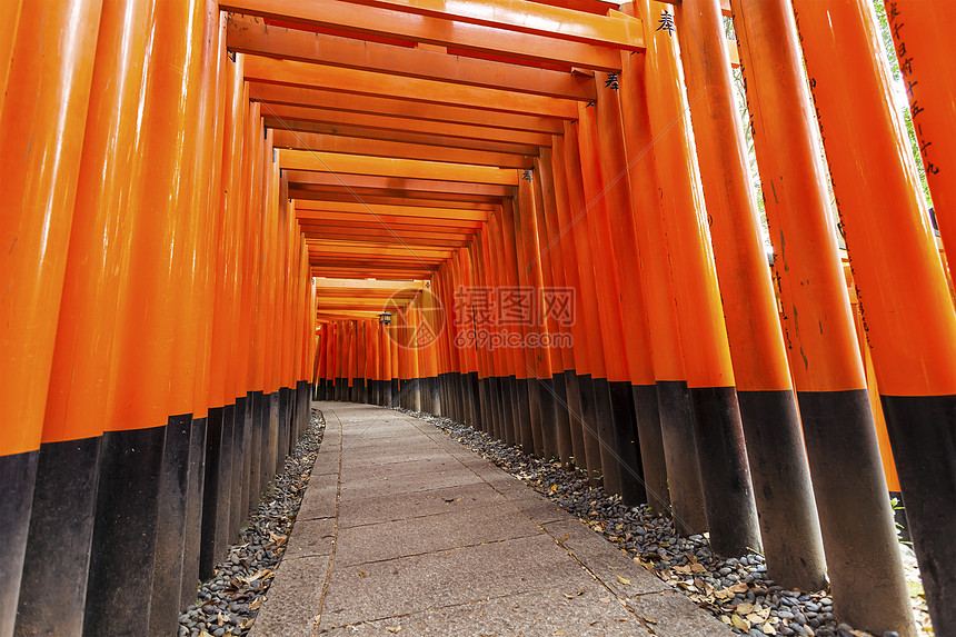 日本京都的神庙旅行橙子观光精神历史天空蓝色建筑文化地标图片