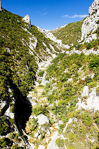 法国植被旅行构造峡谷外观风景世界岩石地质位置图片