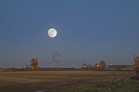 月球在田地上图片