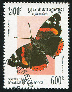 蝴蝶昆虫邮件邮票海豹明信片漏洞翅膀生物学热带历史性背景图片