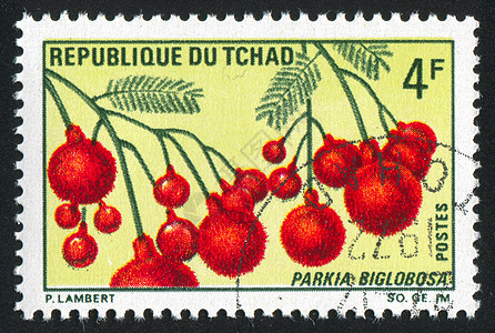鲜花枝条历史性邮票生长集邮浆果种子木头邮戳信封图片