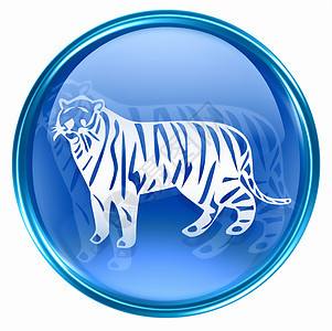 老虎 Zodiac 图标蓝色 孤立在白色背景上八字圆形插图玻璃日历绘画生日书法星座十二生肖图片