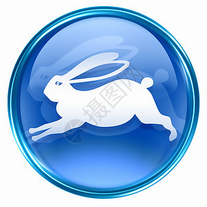 兔子黄鼠狼蓝色图标 孤立在白色上绘画星座生日圆形书法宇宙反射按钮汉子日历图片