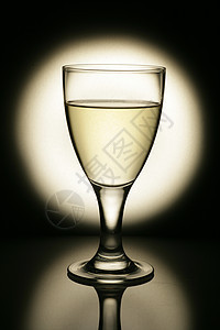 香槟瓶子健康酒吧口渴眼镜栽培节日干杯气泡藤蔓图片