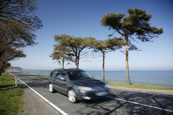 沿海岸驾驶运输交通海岸线阳光松树运动基础设施树木速度水平图片
