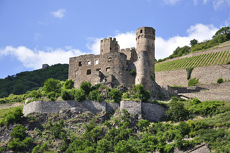 Ehrenfels城堡图片