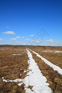 雪雪路孤独草地衬套气候季节场地农村分支机构地平线阴影图片