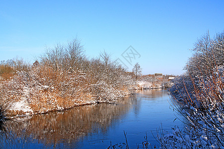 一月你好风景积雪中的灌木丛森林石头天气雪景房子草本植物橡木流动季节场景背景