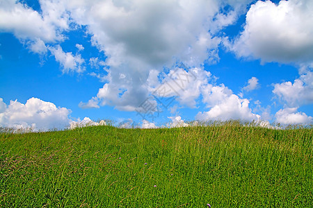 夏季外地地平线荒野空地地面天空紫丁香草地植物国家晴天图片