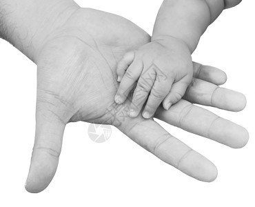 成年手握着一只黑白的婴儿手图片