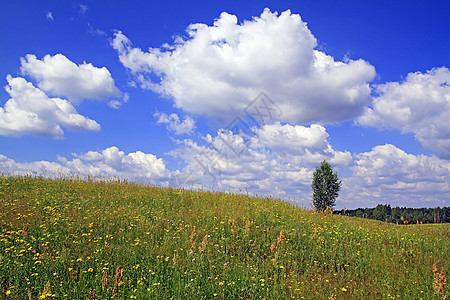 夏季外地荒野天空晴天蓝色农村天气环境空地花瓣淡紫色图片