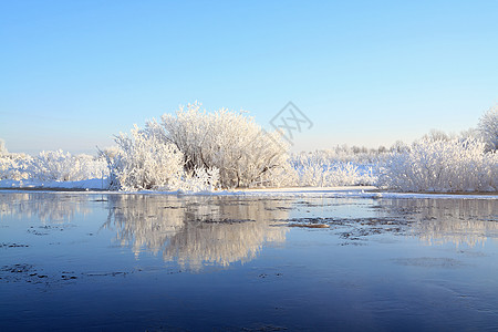 沿海河下雪的灌木丛中房子旅游荒野溪流叶子城市草本植物薄雾乡村雌蕊图片