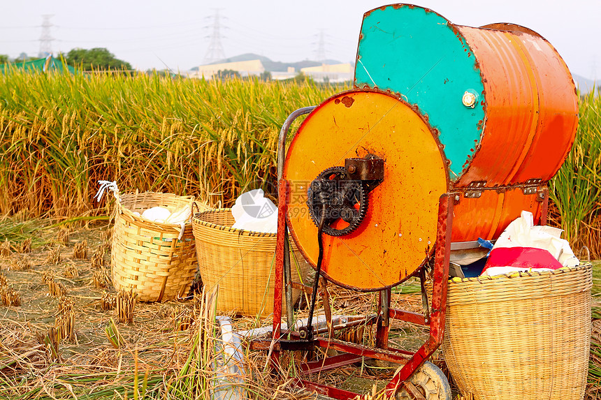 旧水稻木机种植园拖拉机农场稻草场地植物培育谷物机器稻田图片