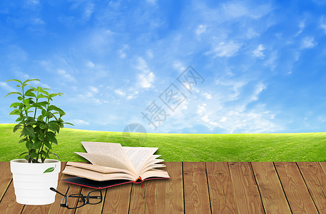 含绿草和蓝天空的木地板上书本图片