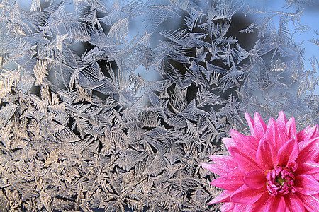 窗上的冰花窗户冻结日落温度结晶日出水晶季节雪花花瓣图片