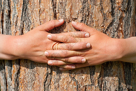 环绕着一棵树的双臂情人生态资源树干博物学家主义者森林环境气体环保图片