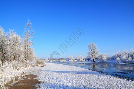 沿海河上的雪树橡木假期地平线田园桦木天空脉冲衬套海滩街道图片