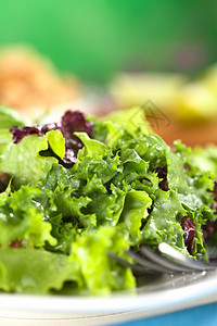 配有酸奶装饰的新鲜生菜沙拉食物蔬菜绿色红色照片叶子背景图片