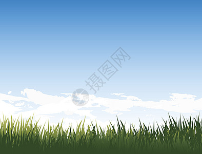 夏季风景天空草原地平线草地插图环境黄色植物绿色场地背景图片