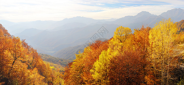秋天的巴尔干山脉牧歌阳光金子爬坡植物薄雾森林天线草地叶子图片