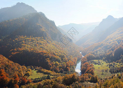 塔拉河峡谷村庄植物阳光季节森林塔拉叶子建筑山脉爬坡图片