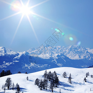 山上有高山暴风雪云杉松树季节蓝色顶峰冰川阴霾滑雪运动图片