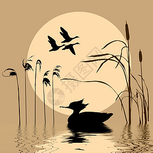 湖上鸟儿的矢量光影插图绘画床单强光鸭子草图墙纸艺术团体滚动图片