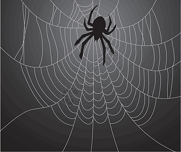矢量黑蜘蛛和网络图片
