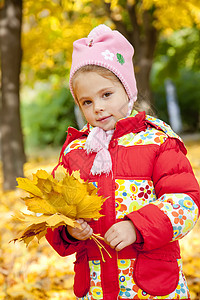秋天公园的孩子公园叶子黄色小姑娘红色夹克季节季节性金发背景图片