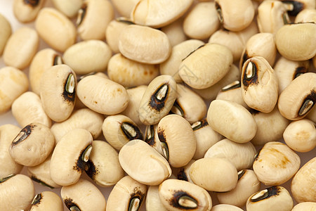 黄豆背景牛奶大豆蔬菜种子毛豆饮食豆浆豆类植物食物图片