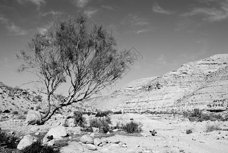 内盖夫沙漠地质学岩石悬崖天空顶峰干旱爬坡公园风景气候图片